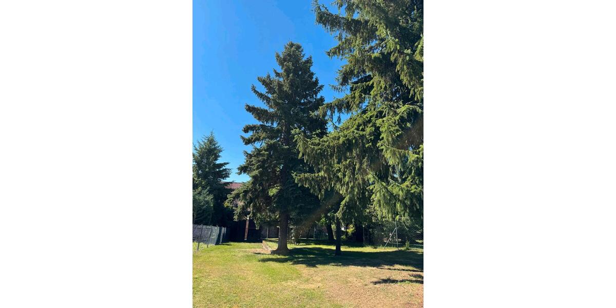 Bauernhaus, Landhaus Bad Sulza - 10 Zimmer, 240 m&sup2;, 259.000&euro; | Angebot:27120299