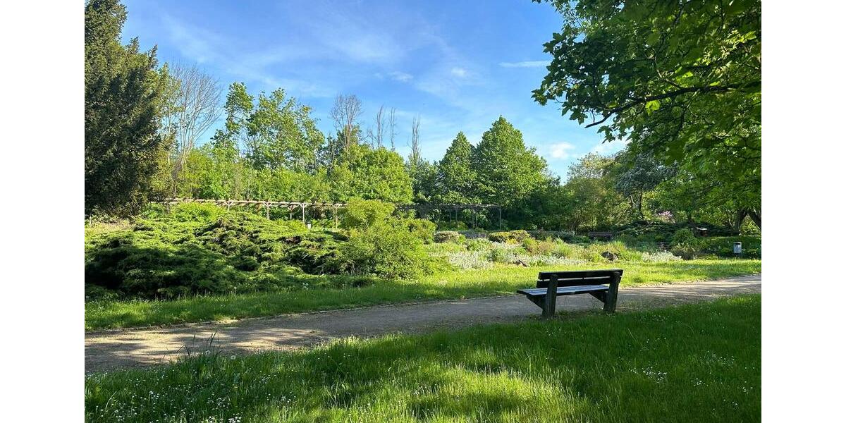 Etagenwohnung Naumburg (Saale) - 1 Zimmer, 47 m&sup2;, 640&euro; | Angebot:26586292