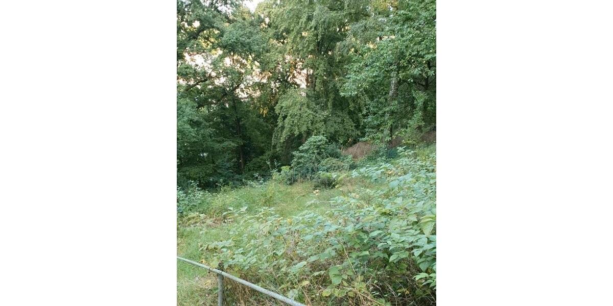 Grundstück Stadtroda - 8.500&euro; | Angebot:26089427