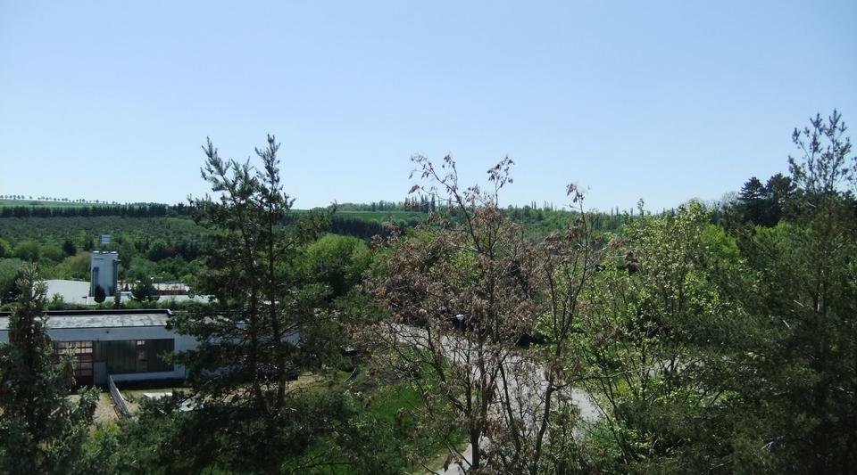 Etagenwohnung Naumburg (Saale) - 3 Zimmer, 58 m&sup2;, 75.000&euro; | Angebot:13872860