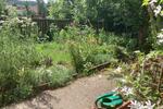 Etagenwohnung Blankenhain - 390&euro; | Angebot:26022746