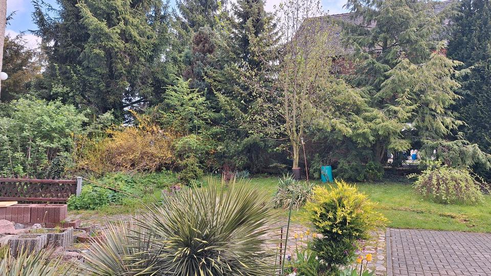 Einfamilienhaus Naumburg (Saale) - 9 Zimmer, 170 m&sup2;, 265.000&euro; | Angebot:26630153