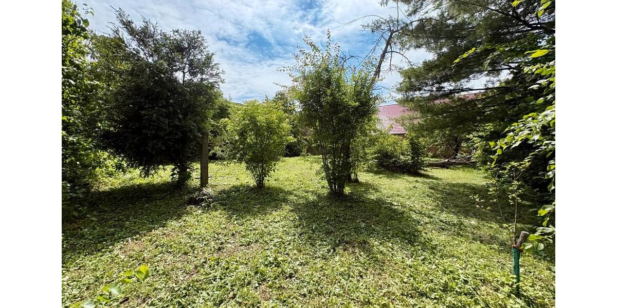 Bauernhaus, Landhaus Apolda - 8 Zimmer, 148 m&sup2;, 225.000&euro; | Angebot:27244739