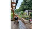 Einfamilienhaus Münchenbernsdorf - 4 Zimmer, 90 m&sup2;, 340.000&euro; | Angebot:27267713