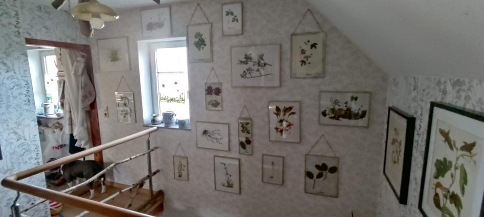 Bauernhaus, Landhaus Kranichfeld - 150.000&euro; | Angebot:27247181