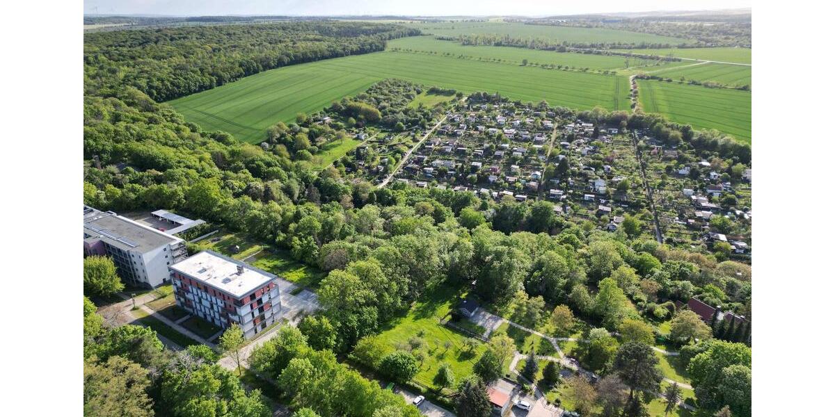 Etagenwohnung Naumburg (Saale) - 1 Zimmer, 41 m&sup2;, 550&euro; | Angebot:26586288