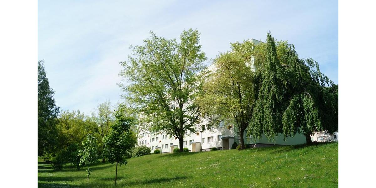 Etagenwohnung Pößneck - 2 Zimmer, 47 m&sup2;, 305&euro; | Angebot:26478030