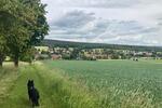 Etagenwohnung Blankenhain - 390&euro; | Angebot:26022746