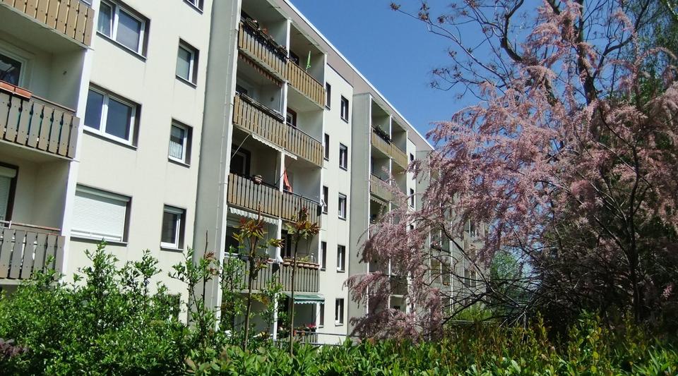Etagenwohnung Naumburg (Saale) - 3 Zimmer, 58 m&sup2;, 75.000&euro; | Angebot:13872860