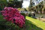 Einfamilienhaus Kraftsdorf - 2 Zimmer, 50 m&sup2;, 34.900&euro; | Angebot:19937427
