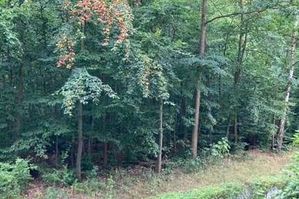 Wohnung Weimar Schöndorf-Waldstadt - 2 Zimmer, 48 m&sup2;, 355&euro; | Angebot:27481871