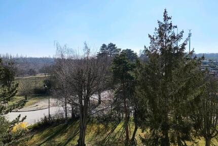 Wohnung Naumburg (Saale) - 2 Zimmer, 48 m&sup2;, 63.000&euro; | Angebot:26993754