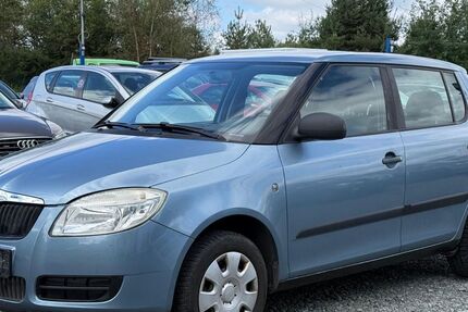 Skoda Fabia 121.549 km 3.000 &euro; Schleifreisen 07629