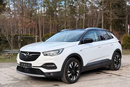Opel Grandland (X) 43.000 km 16.499 &euro; St. Gangloff 07629