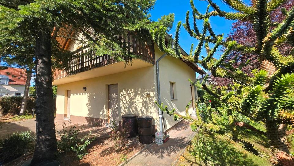 Einfamilienhaus Apolda - 4 Zimmer, 122 m&sup2;, 295.000&euro; | Angebot:27415845