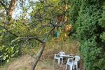 Grundstück Stadtroda - 8.500&euro; | Angebot:26089427