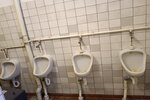 Buttstädt, Mehrgenerationenhaus - Mehrfamilienhaus, Wohnhaus Buttstädt | Angebot:21282281