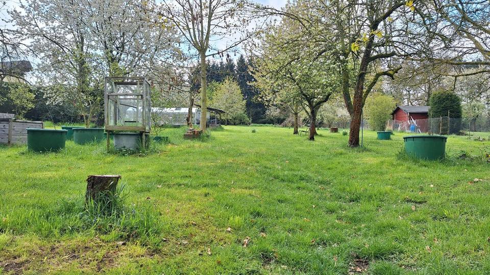 Einfamilienhaus Naumburg (Saale) - 9 Zimmer, 170 m&sup2;, 265.000&euro; | Angebot:26630153