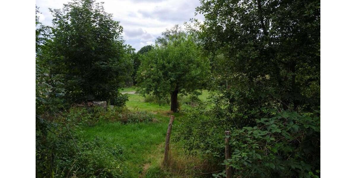 Bauernhaus, Landhaus Naumburg (Saale) - 4 Zimmer, 90 m&sup2;, 150.000&euro; | Angebot:27417738