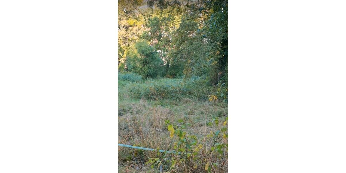 Grundstück Stadtroda - 8.500&euro; | Angebot:26089427