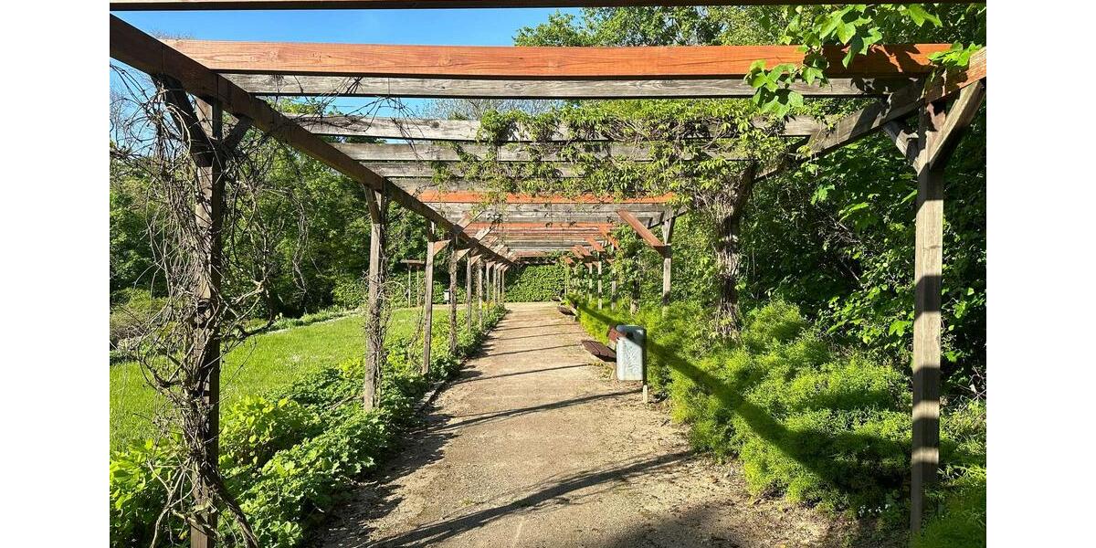 Etagenwohnung Naumburg (Saale) - 1 Zimmer, 47 m&sup2;, 640&euro; | Angebot:26586292