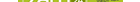 Pflegefachkraft (m/w/d)